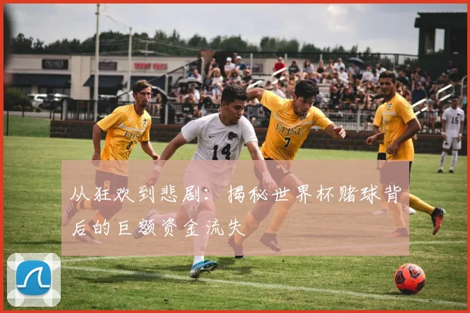 从狂欢到悲剧：揭秘世界杯赌球背后的巨额资金流失