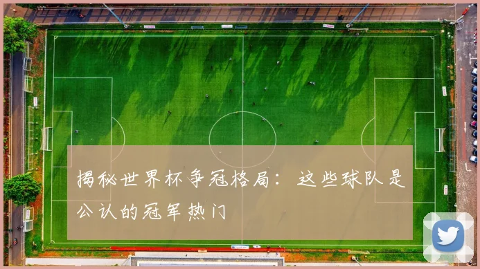 揭秘世界杯争冠格局:这些球队是公认的冠军热门