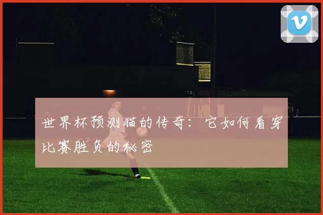 世界杯预测猫的传奇:它如何看穿比赛胜负的秘密