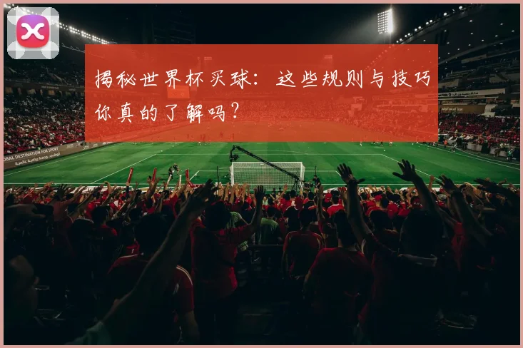揭秘世界杯买球:这些规则与技巧你真的了解吗?