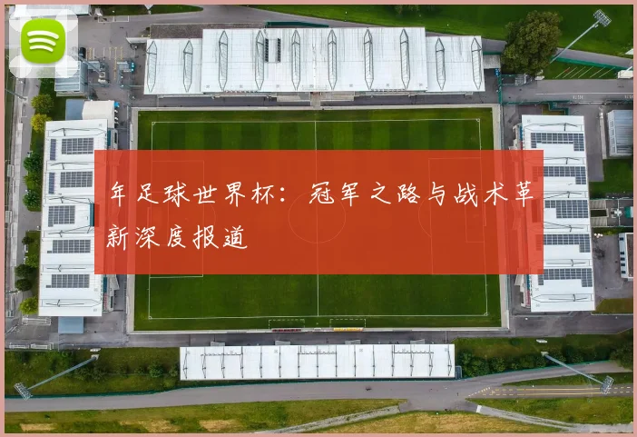 年足球世界杯：冠军之路与战术革新深度报道