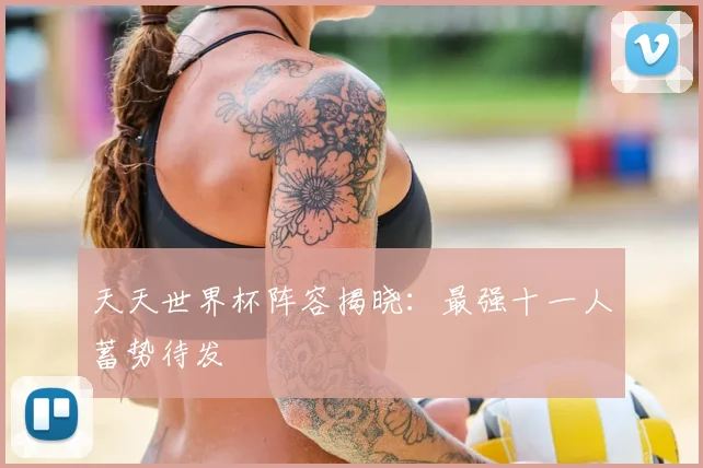 天天世界杯阵容揭晓：最强十一人蓄势待发