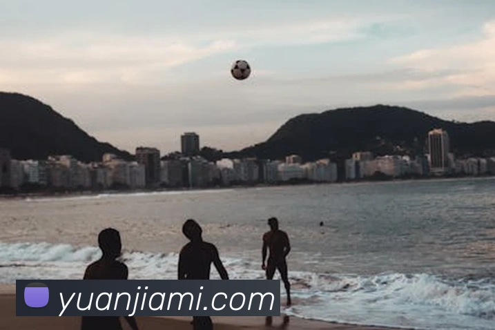 ayx爱游最新登录平台生态图