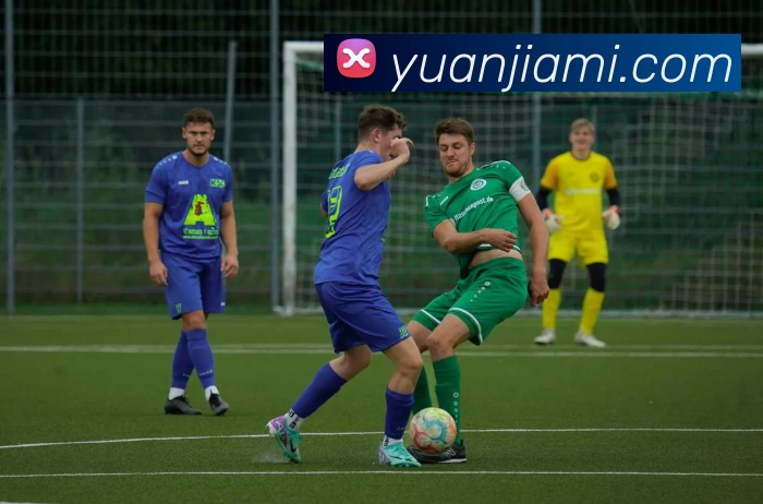 ayx爱游最新登录APP 封面图